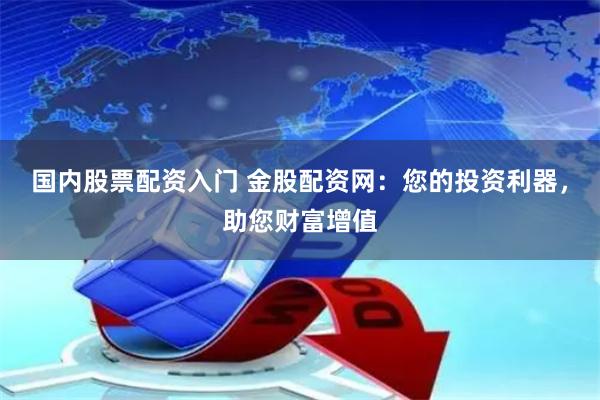 国内股票配资入门 金股配资网：您的投资利器，助您财富增值