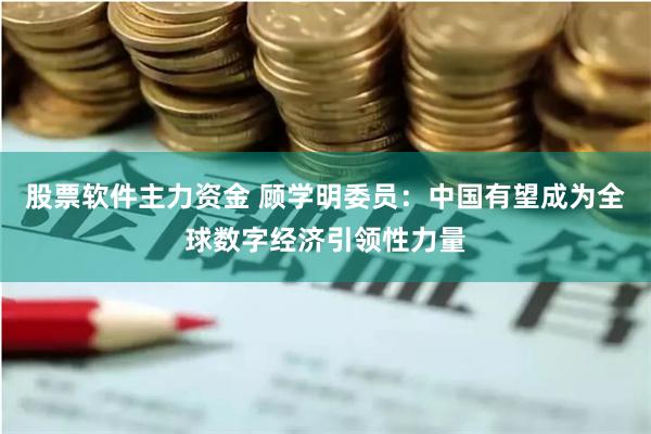 股票软件主力资金 顾学明委员：中国有望成为全球数字经济引领性力量