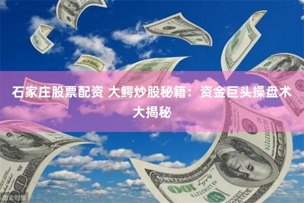 石家庄股票配资 大鳄炒股秘籍：资金巨头操盘术大揭秘