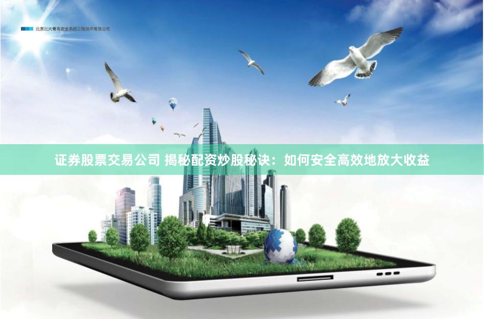 证券股票交易公司 揭秘配资炒股秘诀：如何安全高效地放大收益